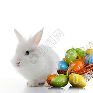 兔子彩色复活节彩蛋篮子中分离白色上图片