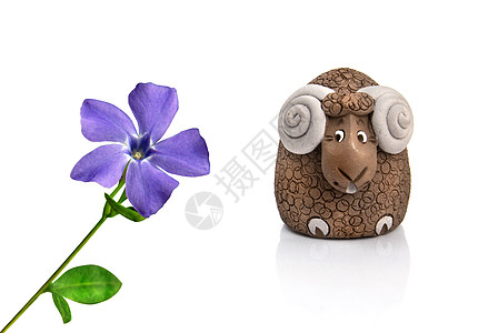 趣的羔羊看着紫罗兰的春花图片