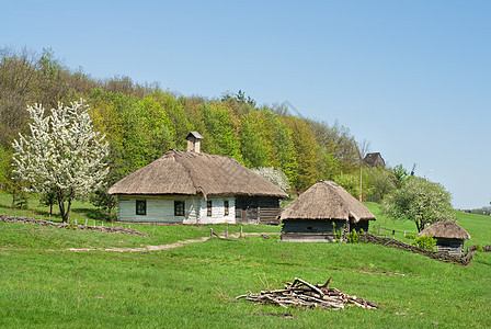 反绿色森林的旧房子图片