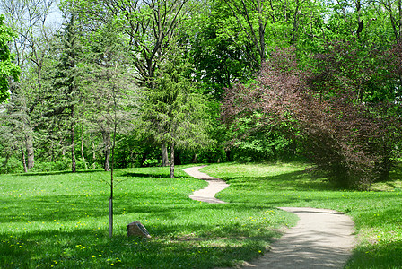 春天的绿色公园图片