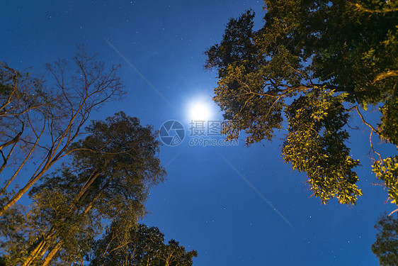 泰国热带森林的夜空图片