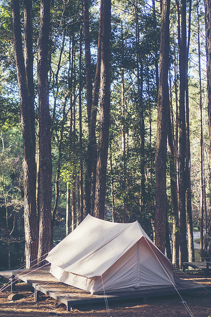 泰国北部日落的松树下露营帐篷图片