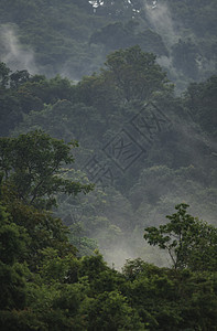 热带雨林自然景观观,泰国北海公园图片