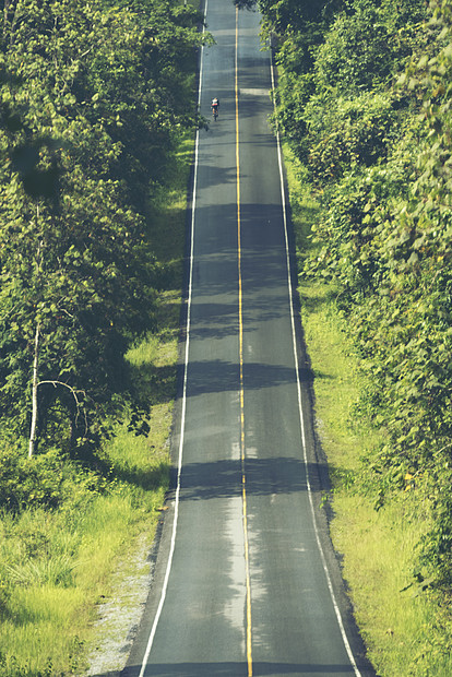 热带森林田的道路,泰国的Khaoyai公园图片