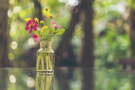 户外茶几上五颜六色的花静物与巨大的秋花玫瑰水果静物与巨大的秋花玫瑰水果图片