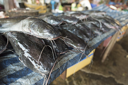 淡水鱼老挝当地市场图片