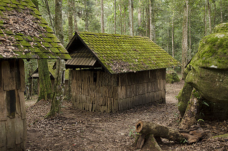 古老的小屋,古老的木屋,树间苔藓背景图片