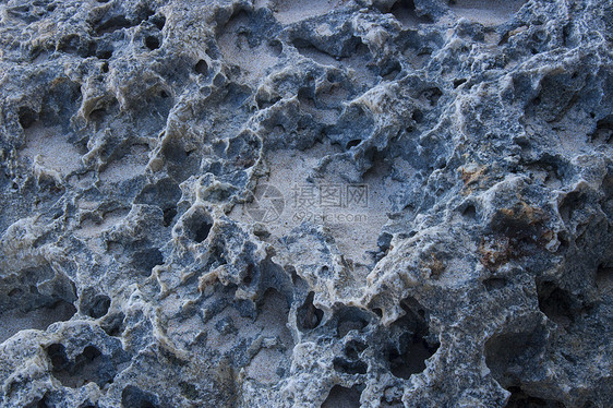 海滩侧珊瑚石特写照片海滩侧珊瑚石观图片