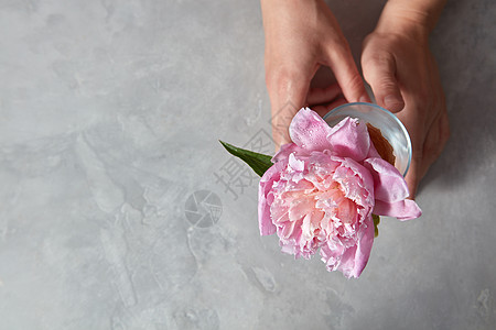 女人的手着朵优雅的粉红色牡丹花,放灰色的石桌上的璃花瓶里,女人的手着个漂亮的粉红色的介子,放个灰图片