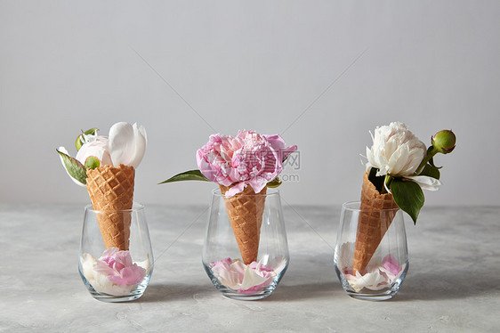 精致的粉红色白色牡丹花,个圆锥形的眼镜,花瓣站灰色的石桌上,的风景春天的祝贺3月8日圆锥体冰淇图片