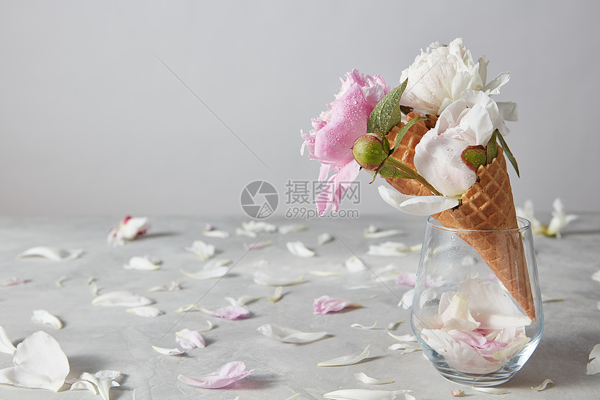 三个甜美的圆锥体 璃花瓶里温柔的牡丹花 水滴 花瓣灰色的混凝土背景上 情人节祝贺的贺卡上美丽温高清图片下载 正版图片 摄图网 三个甜美的圆锥体 璃花瓶里温柔的牡丹花 水滴 花瓣灰色的混凝土背景上 情人节祝贺的贺卡上美丽温高清图片下载 正版图片 摄图网