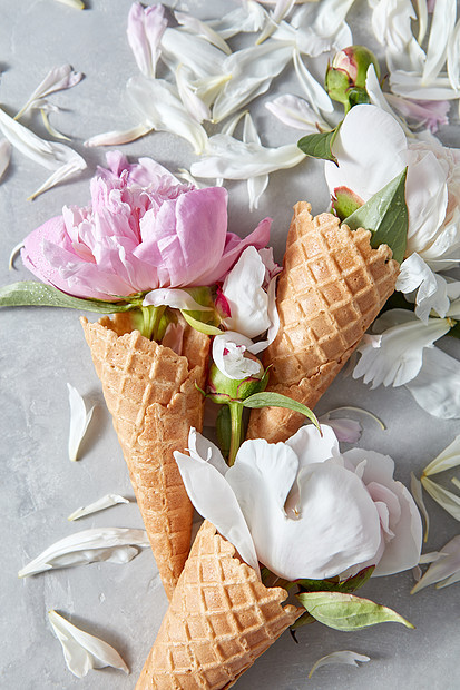 精致的粉红色白色的牡丹花,灰色的石桌上,花瓣的风景祝贺母亲节的卡片祝贺圆锥体与温的白色粉红色的花图片