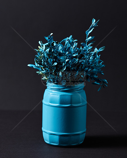 蓝色小叶子的蓝色树枝个蓝色的罐子里,一个黑色的背景上,蓝色的花瓶,黑色的背景上蓝色的叶子图片