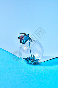 个圆形的璃花瓶,底部蓝色的花瓣,蓝色的玫瑰花干蓝色的背景上,干玫瑰用蓝色的油漆个圆形璃上画的,底部蓝图片