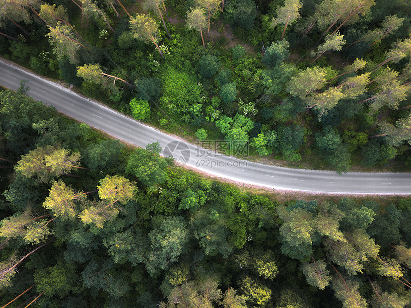 鸟瞰无人机空旷的道路森林与高树俯视穿过森林的沥青路夏天日落时无人机上俯瞰图片