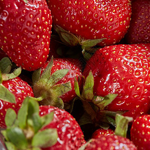 天然种植你自己的红色草莓与绿叶密切的背景健康的生食来自红色成熟草莓的五颜六色的特写背景图片