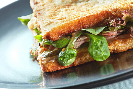 新鲜烤帕尼三明治与火腿草药新鲜烤帕尼尼三明治图片