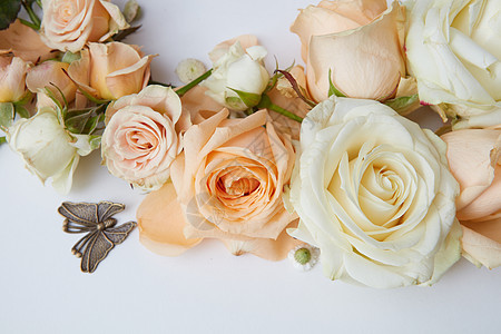 白色背景上代表的玫瑰成的特写白色橙色的玫瑰蝴蝶情人节白色背景上的玫瑰图片