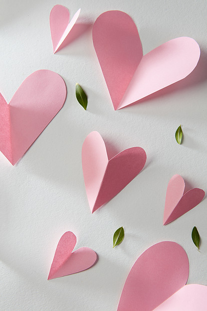 白色背景上许多粉红色的心叶子的卡片心的情人节卡片图片