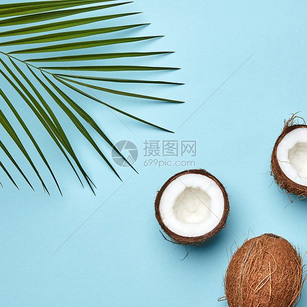 蓝色背景上的椰子棕榈绿叶,热带坚果平躺整个半的椰子与棕榈叶个蓝色的背景与文本的副本异国水图片