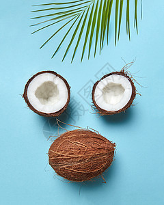 半整个热带坚果与棕榈叶的形式,蓝色背景上的脸,文字的平躺椰子棕榈叶的构图,以蓝色背景上的脸的形式,空图片