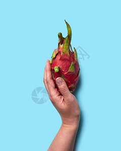 个健康的热带水果皮塔哈亚抱着女孩的手蓝色的背景上,文字的平躺红色异国水果皮塔哈亚牵着女的手蓝色的背景上,图片