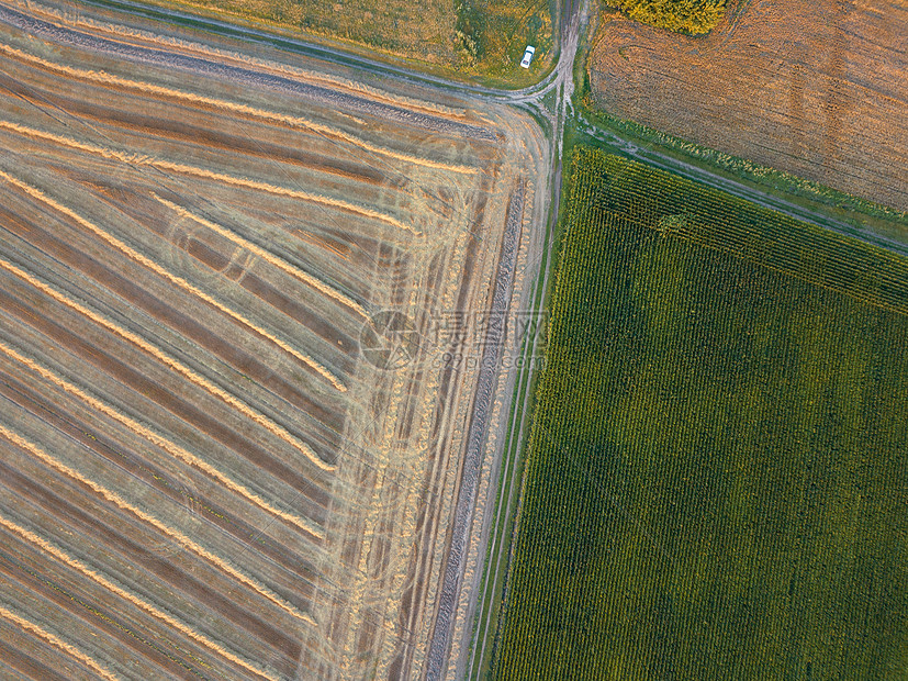 同作物土壤采收后农田的抽象几何背景无人机上俯瞰鸟瞰的风景鸟的高度看,飞行的无人机飞农田,为播种庄稼图片