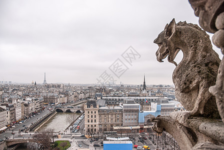 著名的石魔加戈伊尔嵌美拉与巴黎城市的背景巴黎空中景观与嵌美的母图片