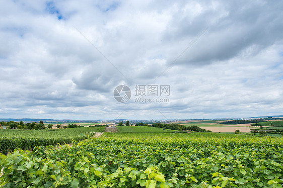 法国蒙塔涅德莱姆斯葡萄园景观法国的葡萄园景观图片