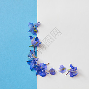 明信片与蓝色花框蓝色背景与白色的地方为文本,平躺花架图片