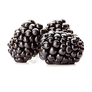 三种新鲜成熟的黑莓分离白色背景上分离出三个新鲜的黑莓图片