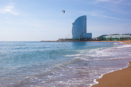 巴塞罗那酒店,西牙的巴塞洛内塔海滩巴塞罗那酒店,巴塞罗那海滩图片