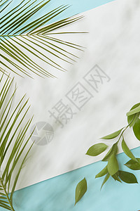 由棕榈叶绿叶枝成,蓝色背景上贴个白色的空白课文下个地方平躺明信片装饰的莱夫斯背景图片