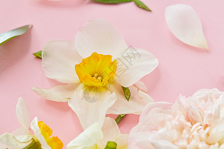 白色花朵的特写代表粉红色的背景任何海报明信片纹理的装饰婚礼白色的花覆盖背景图片