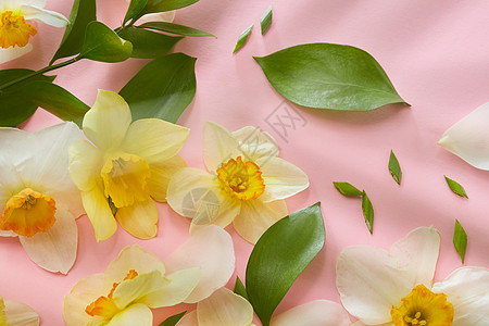 白色花背景图片 白色花背景素材 白色花底图 摄图网