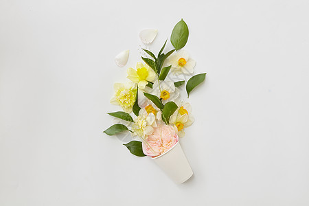 白色背景上盆栽中代表美丽的花的顶部视图空白可以用来记录你的想法情绪等花图片