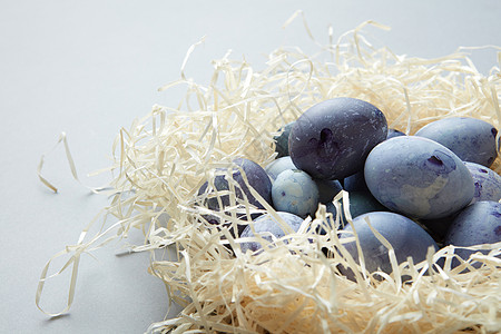 鸟窝干草与蓝色鹌鹑蛋浅蓝色背景巢中的蓝色鸡蛋背景图片