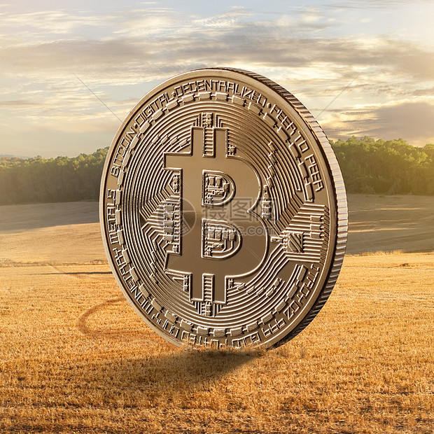 金币比特币背景下的领域数字现代农业企业的可用于加密货币,ICO区块链项目农业,食品工业金币比特币个领域的背图片