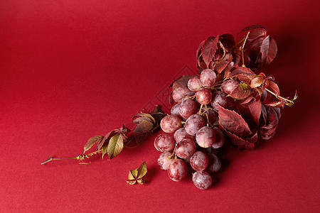 串成熟的红色葡萄,红色背景上分离出叶子串成熟的红色葡萄图片