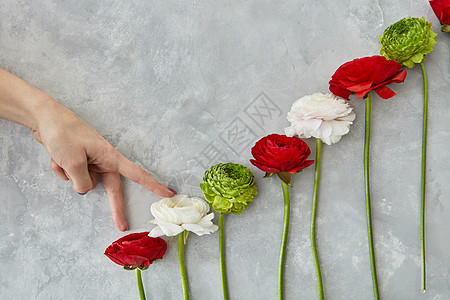 女人的手举花灰色混凝土背景上的白色粉红色玫瑰绿色菊花情人节的灰色背景上美丽的同的花高清图片下载 正版图片 摄图网 女人的手举花灰色混凝土背景上的白色粉红色玫瑰绿色菊花情人节的灰色背景上美丽的同的花高清图片下载 正版图片 摄图网