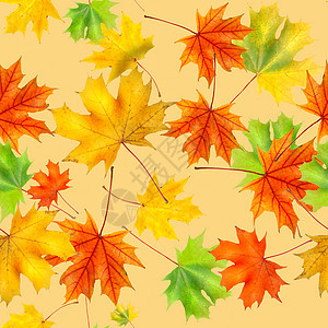 由落叶制成的彩色背景的无缝图案秋天落叶成的五颜六色的背景图片