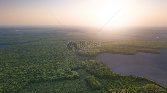 日落夏日蓝色湖泊绿色森林的全景鸟瞰无人机摄影全景鸟瞰森林中的个湖泊日落,顶部的景色图片