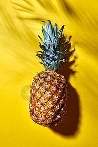 热带异国水果菠萝汁与棕榈叶阴影隔离背景顶部视图合黄色背景上棕榈叶阴影的菠萝果实平躺图片