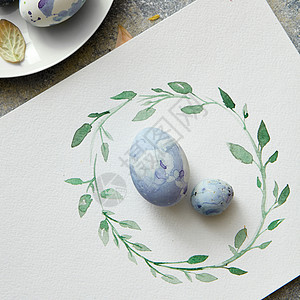 同大小的鸡蛋纸上画画框,产卵鹌鹑鸡蛋图片