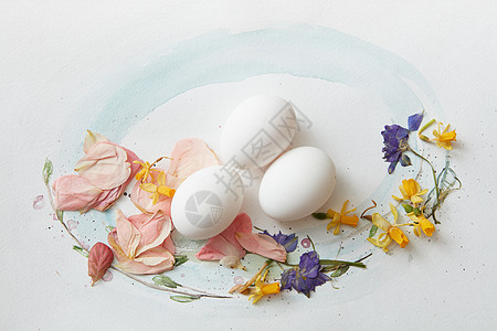 水彩画上的白色鸡蛋,叶子花纸上的白蛋图片