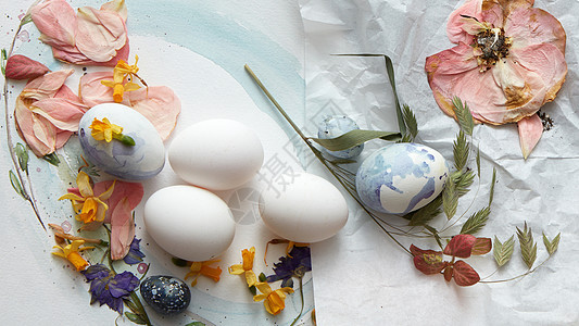 创意复活节背景为张明信片,彩色的鸡蛋干花,玫瑰花瓣白色皱巴巴的纸上,平躺着创造的复活节成分与干花,玫瑰花瓣图片