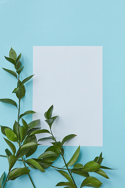 垂直白色框架,蓝色背景上的角落绿色的树枝,文本平下明信片装饰的树叶树枝图片