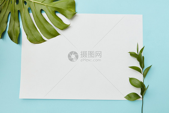 垂直框架蓝色背景上装饰绿叶,文字下个地方平躺明信片装饰的叶子图片