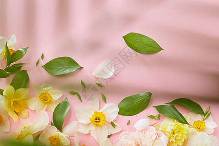 老式框架,花叶子粉红色的背景上图片