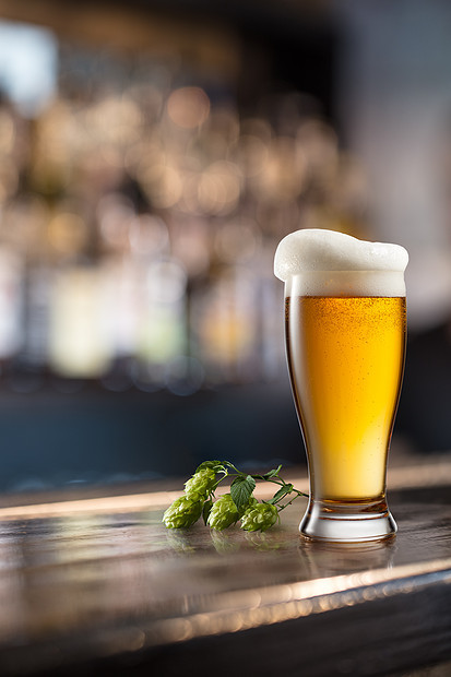 酒吧酒吧桌上的冷啤酒杯啤酒花锥的木制桌子上的杯啤酒模糊的背景图片